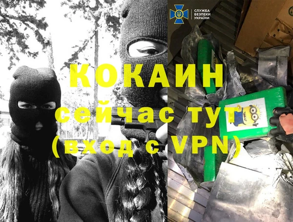 метадон Алексин