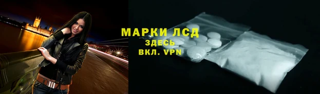 сатива Алзамай