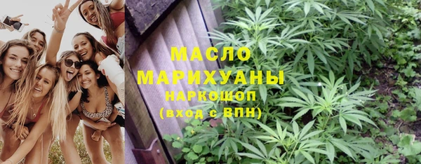 метадон Алексин