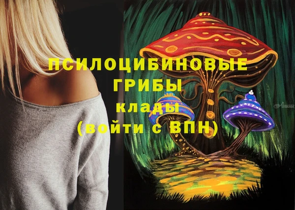 spice Алексеевка