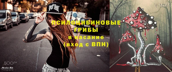 spice Алексеевка