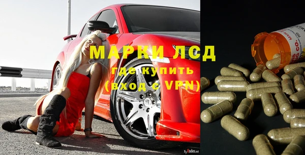 сатива Алзамай