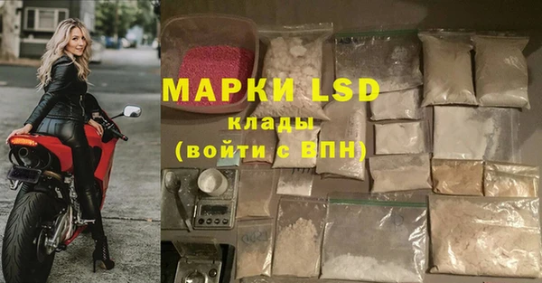 spice Алексеевка