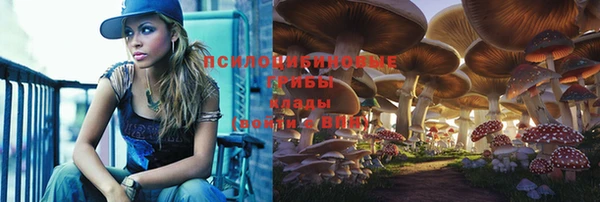 spice Алексеевка