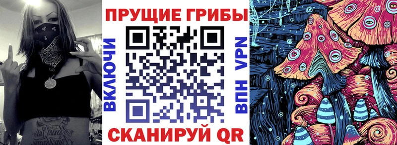 Галлюциногенные грибы Cubensis  Полысаево 